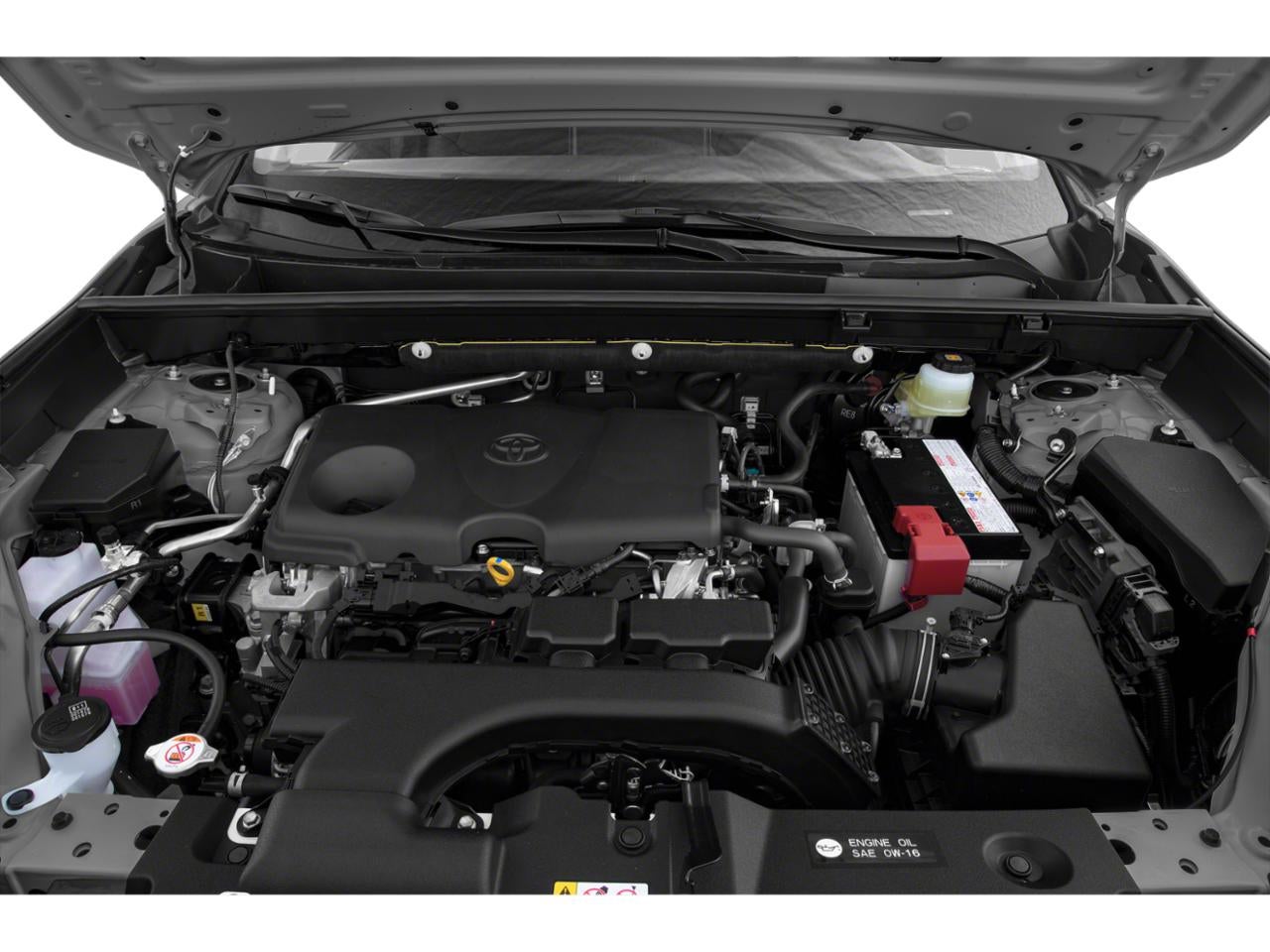 2019 Toyota RAV4 Limited FWD (Natl)