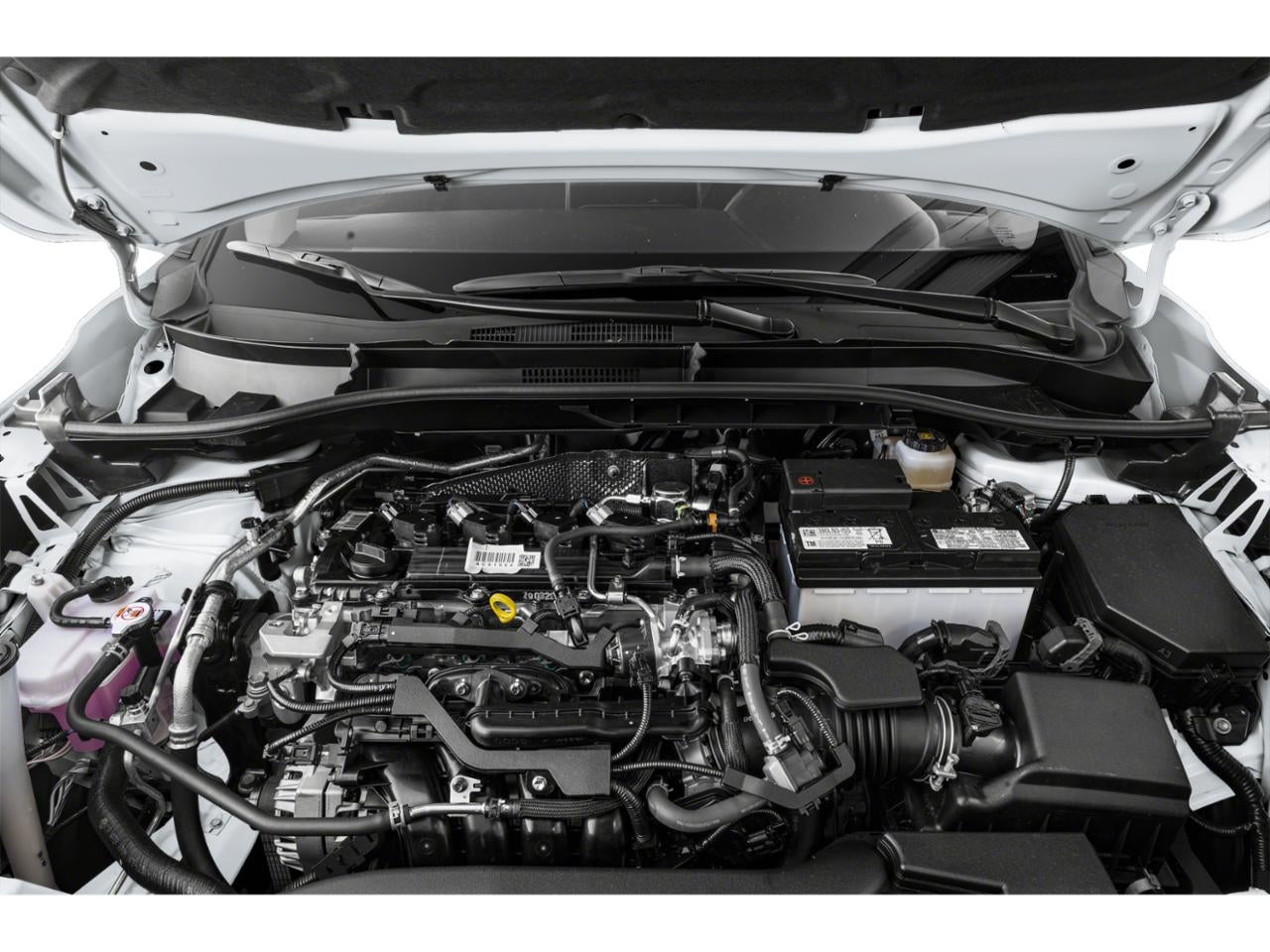 2022 Toyota Corolla Cross XLE 2WD (Natl)