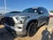2024 Toyota Sequoia Platinum 4WD (Natl)