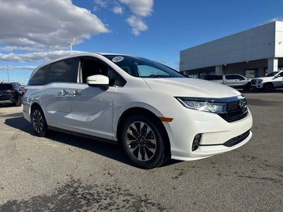 2024 Honda Odyssey EX-L