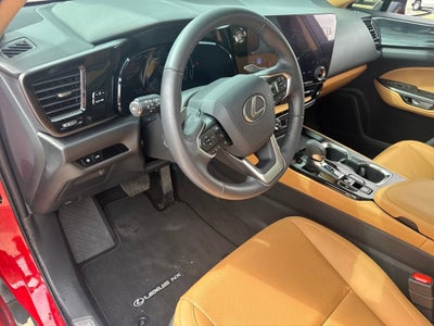 2025 Lexus NX NX 250 Premium